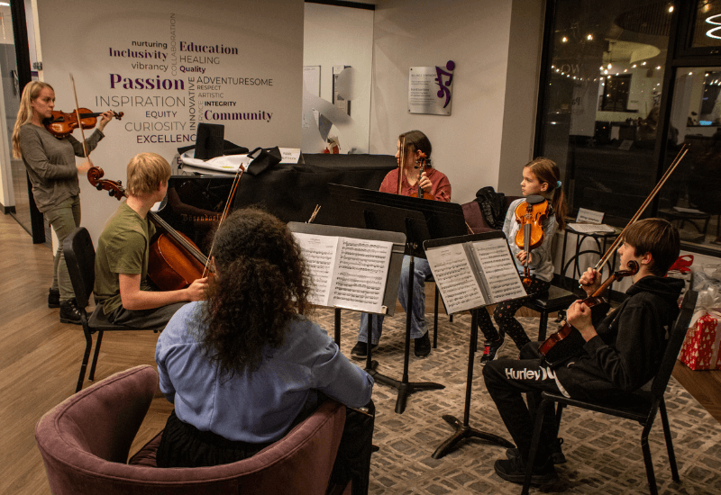Youth Chamber Project Web Thumbnail