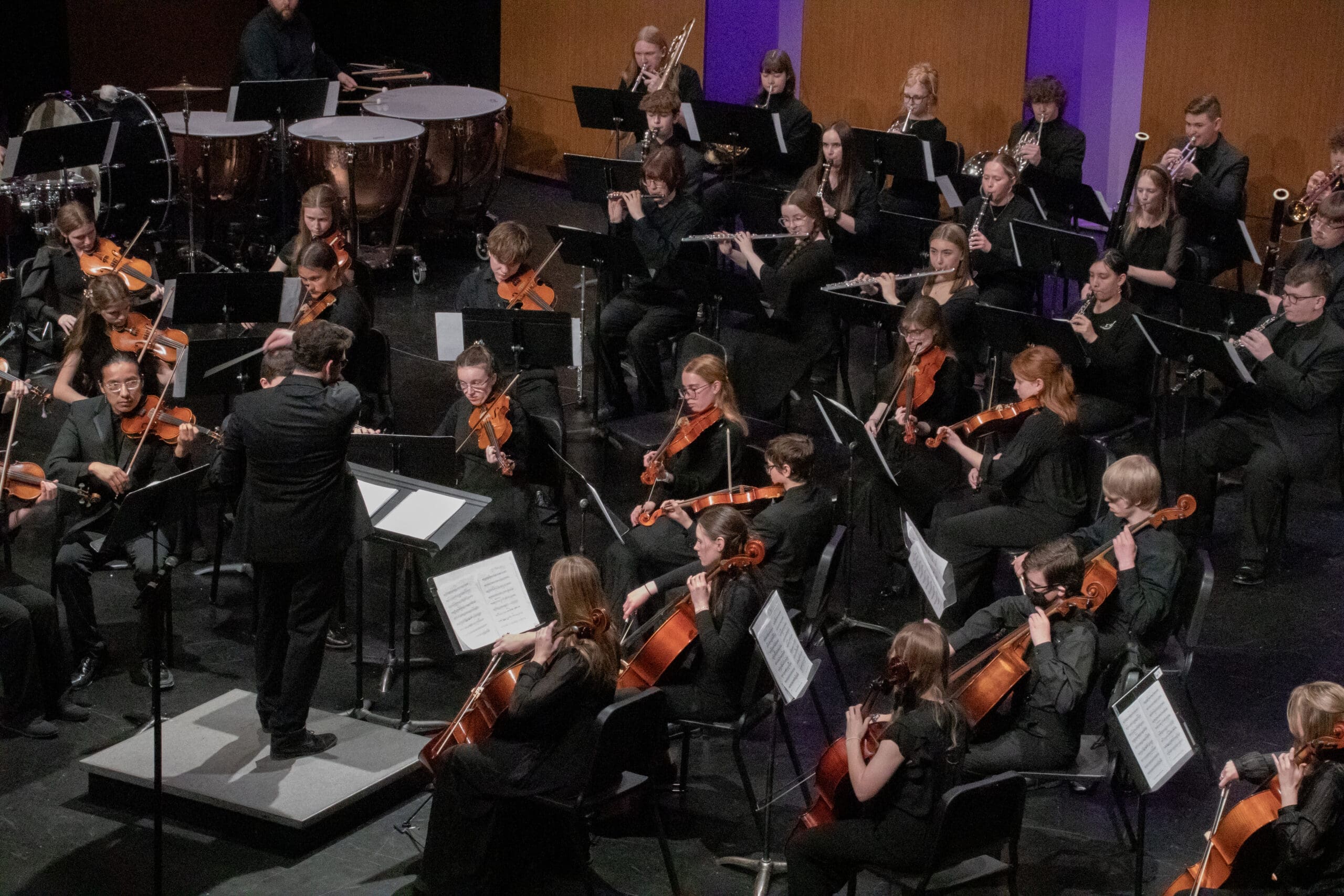Full orchestra on stage with a conductor directing string players; woodwinds and brass seated behind, performing in a formal concert hall.